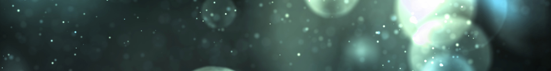 ECOCALOR S.R.L. UNIPERSONALE