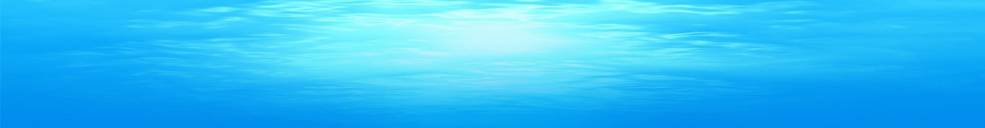 ECOCALOR S.R.L. UNIPERSONALE